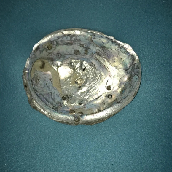 ABALONE shell Pacific Ocean 8 1/2 X 7 - Picture 3 of 7